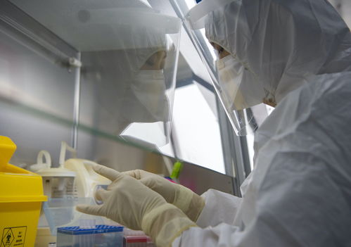 金域醫(yī)學(xué)舉全集團(tuán)之力，支援北京核酸檢測日產(chǎn)能突破3萬例