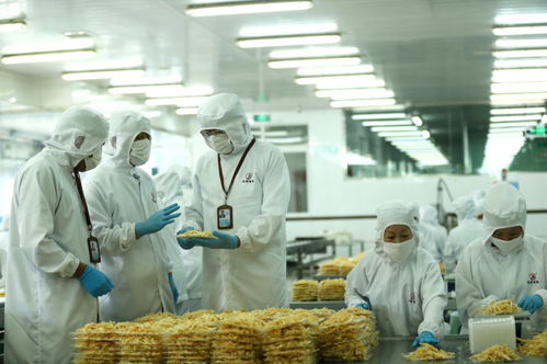 檢測服務為翼，助力山東即墨企業振翅高飛